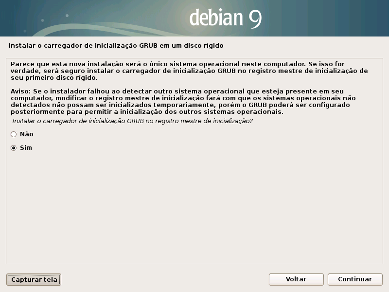 imgs-install-libertas:23-grub-installer_only_debian_0.png